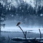 Принт для фотообоев «Волк в зимнем лесу» — изображение 2